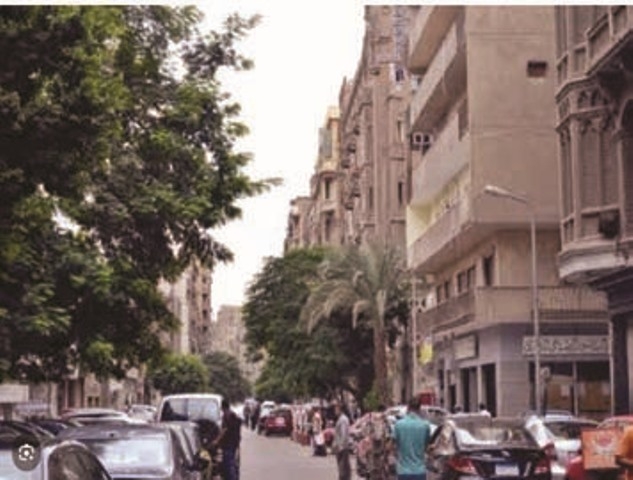 حكاية شارع.. هدي شعراوي