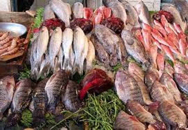 أسعار الأسماك اليوم الجمعة 27-6-2025