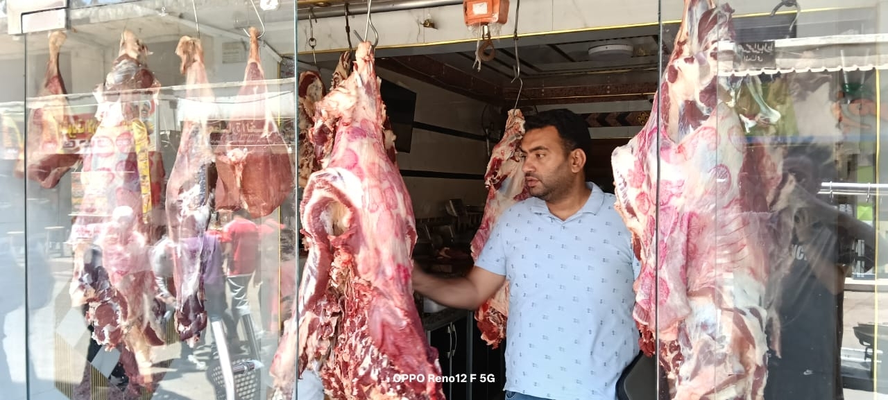 ضبط لحوم وأسماك واسمده زراعيه فاسده فى مراكز كفر الشيخ