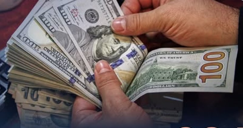 82.7 %.. ارتفاعا في تحويلات المصريين العاملين بالخارج (إنفوجراف)