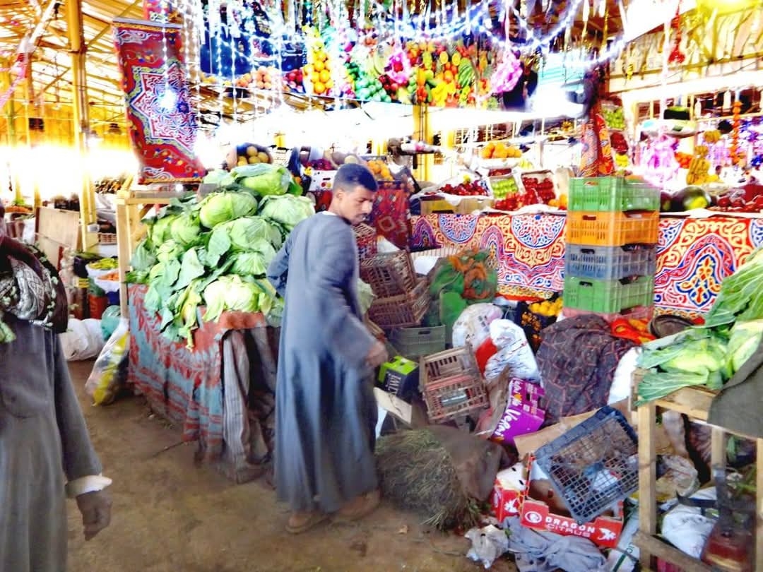 120 محضر ومخالفة بسوق خضار شرق السكة الحديد بالأقصر