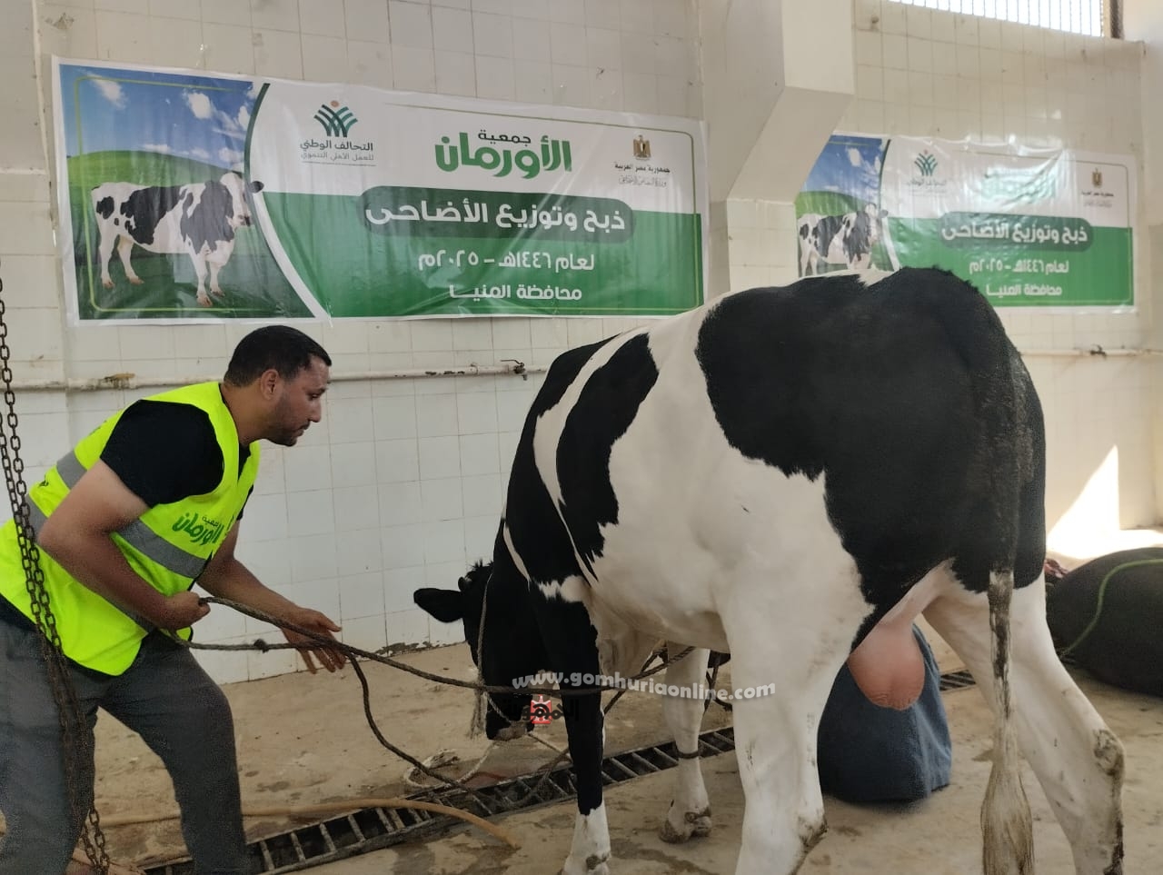 أول أيام عيد الاضحى .. البدء فى ذبح الأضاحى بالمنيا
