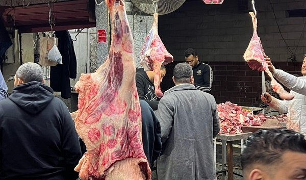 حماة الوطن بالإسماعيلية يوفر اللحوم للمواطنين الكيلو بـ200 جنية