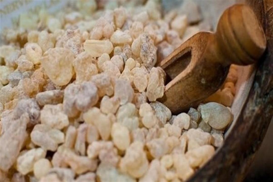 تعرف على الفوائد الصحية والعلاجية لللبان الذكر