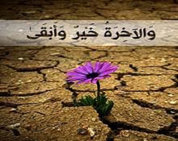 بين فتنة المال ومتاع الدنيا وصية للقلوب الواعية ودعاء يشرح الصدور
