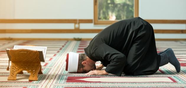 كيف تعرف مواضع سجود التلاوة في القرآن؟