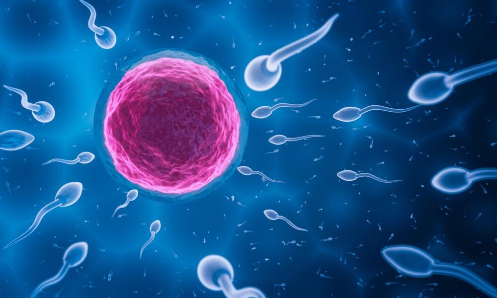Sperm Count Has Declined Almost 50% In Men Across The Globe In Recent Decades