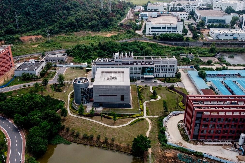 "Bat Lady" Research Team In Wuhan 'Find' COVID-Like Virus That Can Infect Humans
