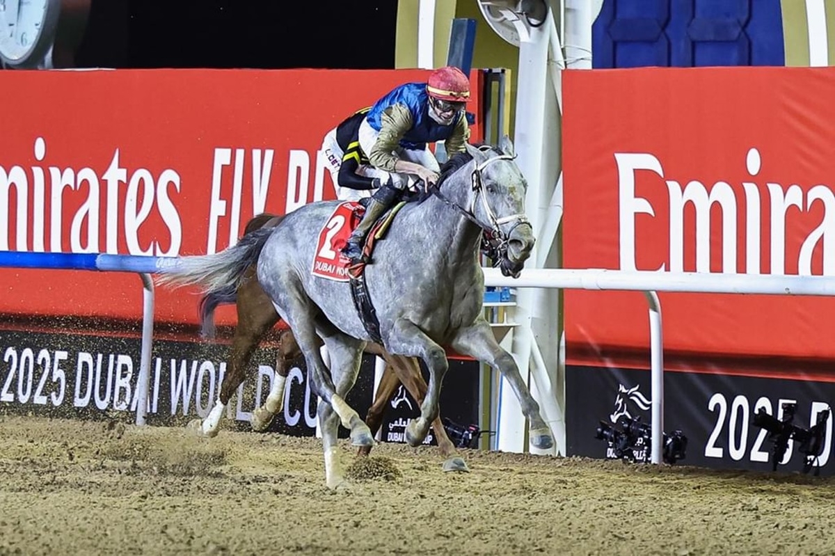 Dubai World Cup 2025: Hit Show Wins $12M Race, Plus All the Results From Meydan