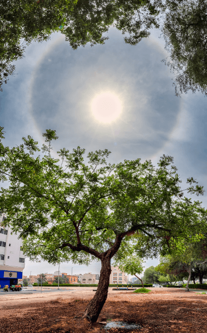 Look: UAE Residents Capture Rare 22° Halo Around Sun; Did You See It Too?