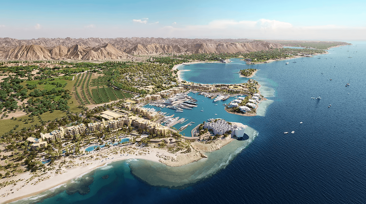 Saudi Arabia Discovers Largest Coral Colony In Red Sea, Rivaling Global Record