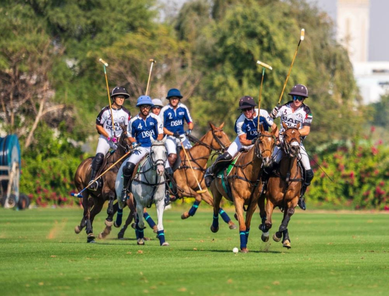 UAE Polo team set up Silver Cup showdown with Dubai Wolves