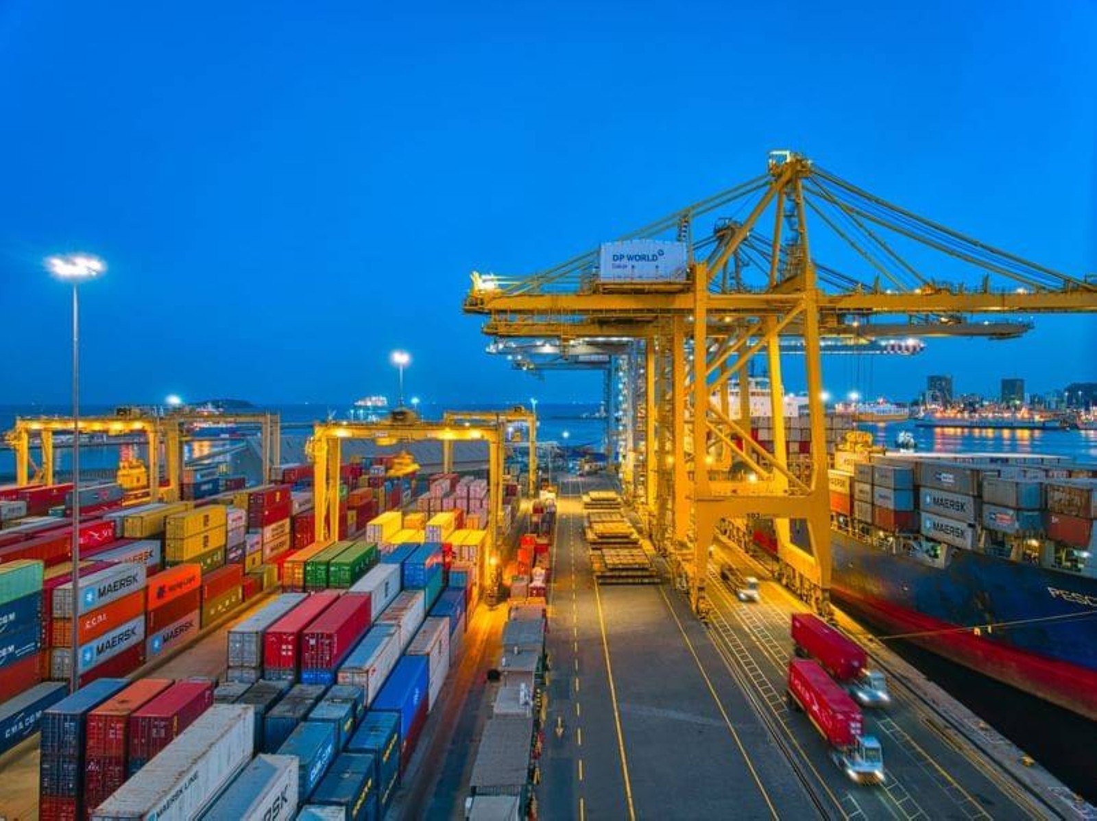 DP World's container handling hits record high in 2024, up 8.3%