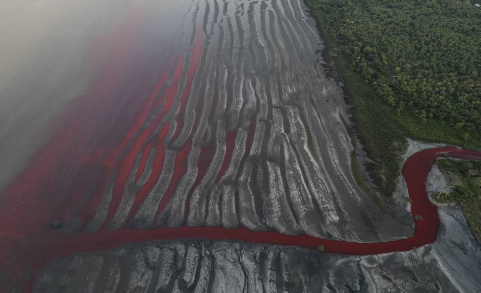 A stream turns blood red in Argentina, residents blame pollution