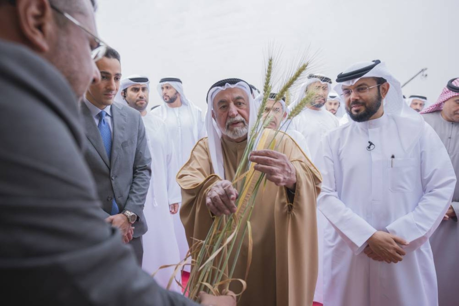 Sultan attends 3rd season harvest of Saba Sanabel