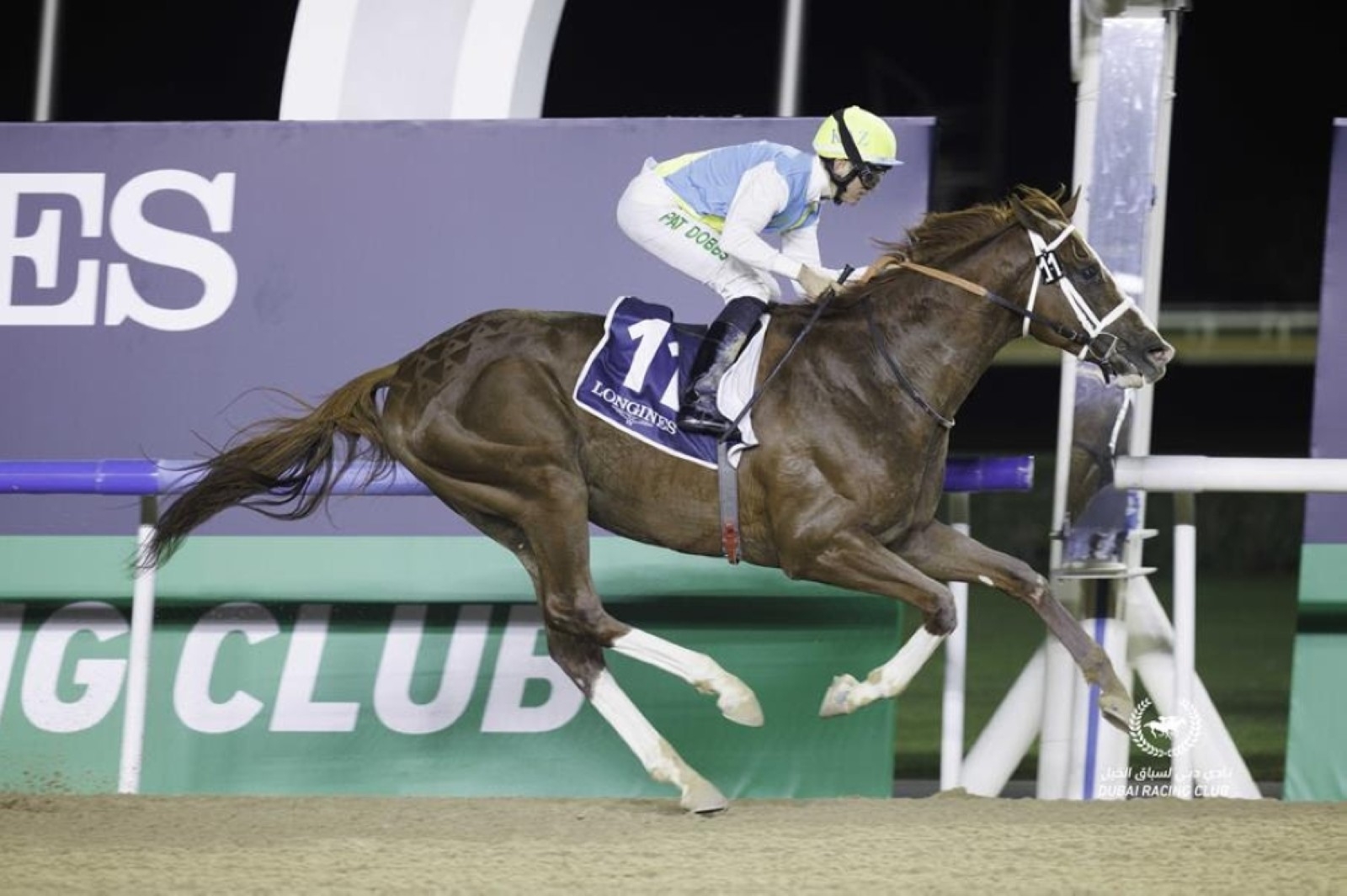 International cast converge on Meydan Racecourse for Emirates Super Saturday