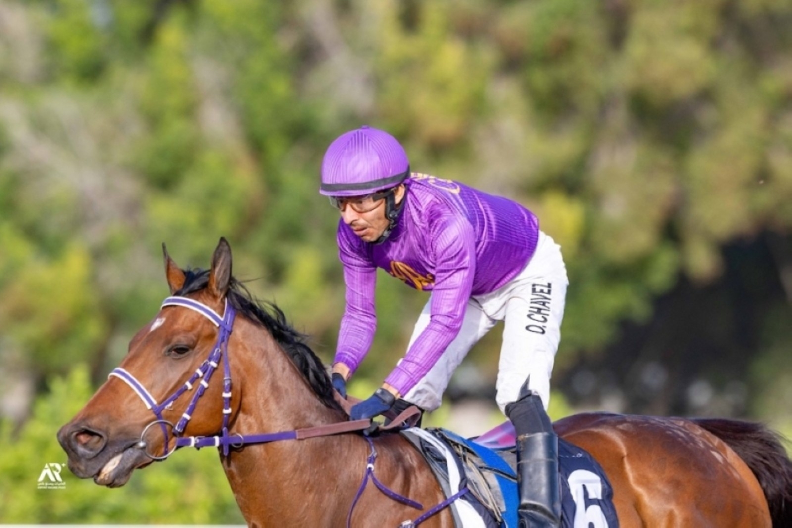 Jebel Ali Racecourse set for spectacular finish to season with high-stakes finale