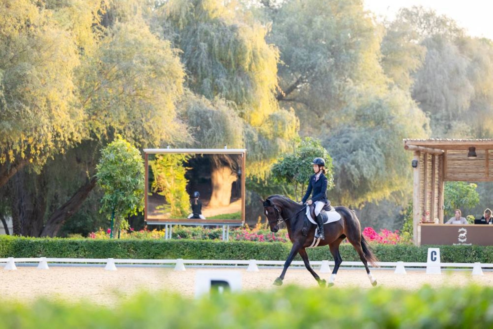 The Royal Stables Abu Dhabi to develop UAE Para Dressage team for LA Paralympic Games
