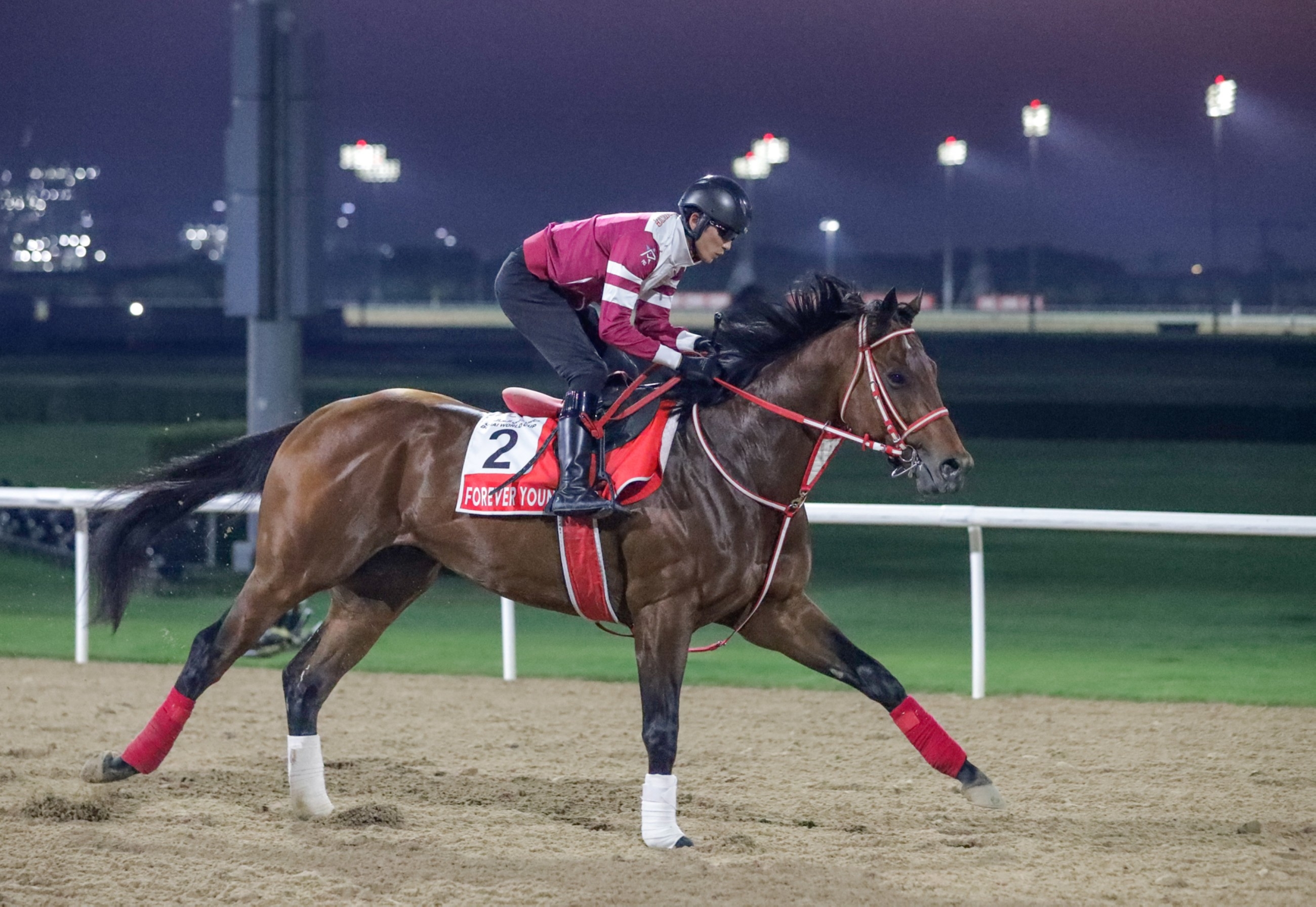 Japanese star Forever Young poised for Dubai WC glory
