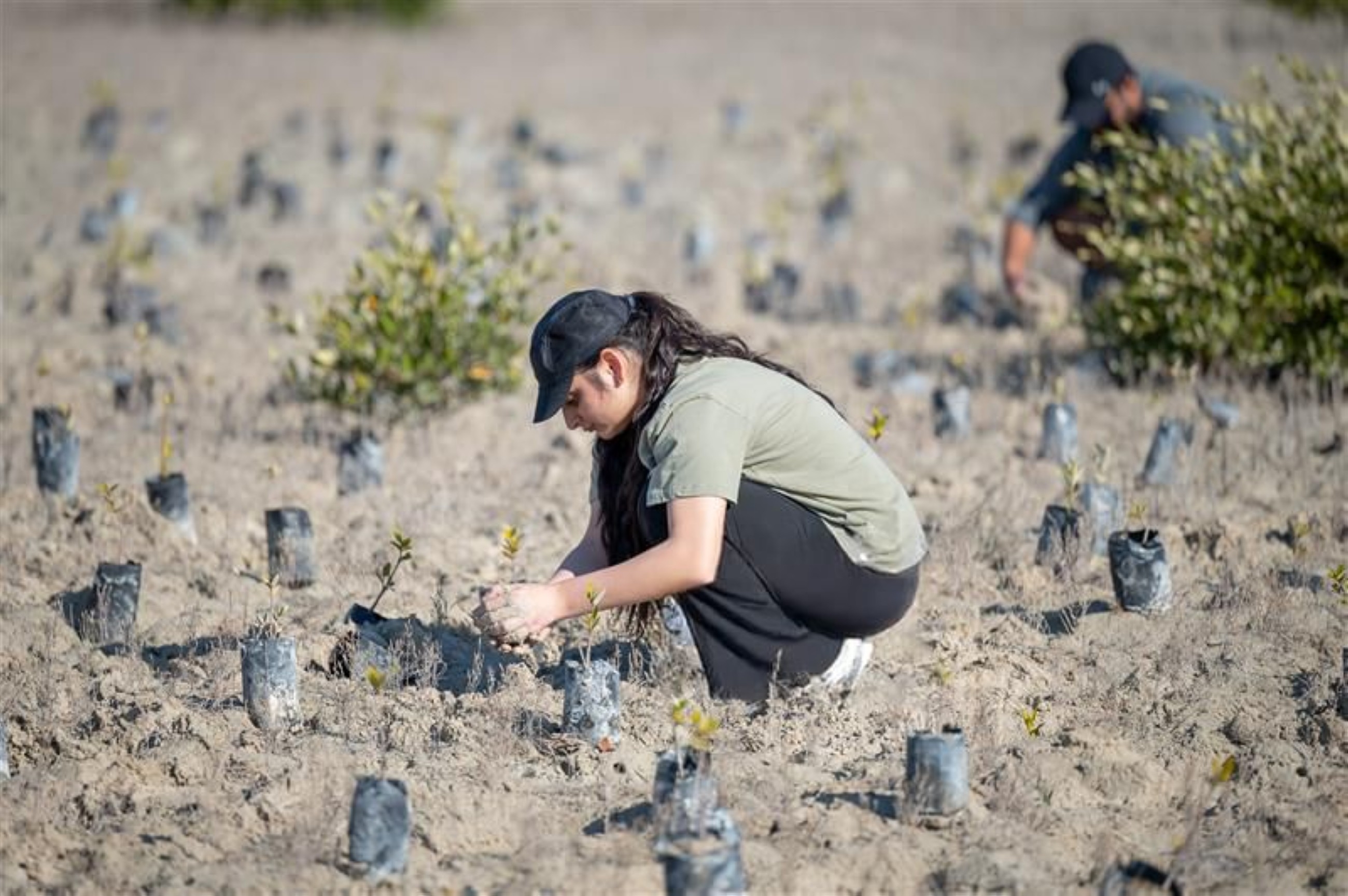 EAD, Emirates Nature-WWF launch Citizen Science plan