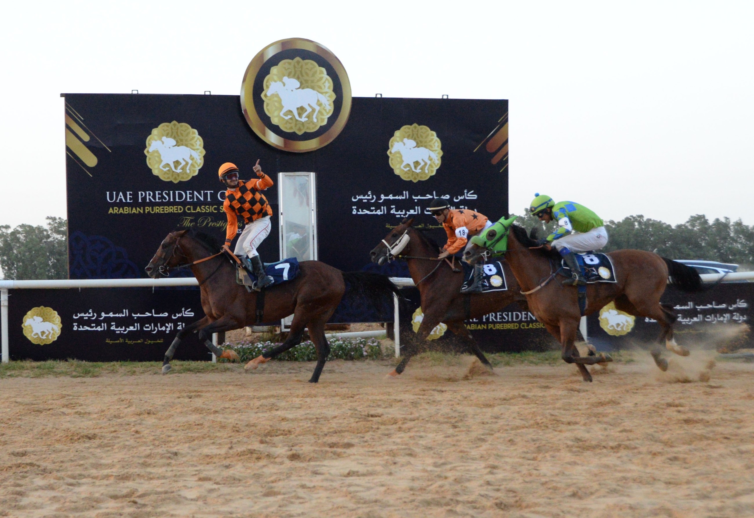 Stage set for 32nd UAE President's Cup Series for Purebred Arabian Horses
