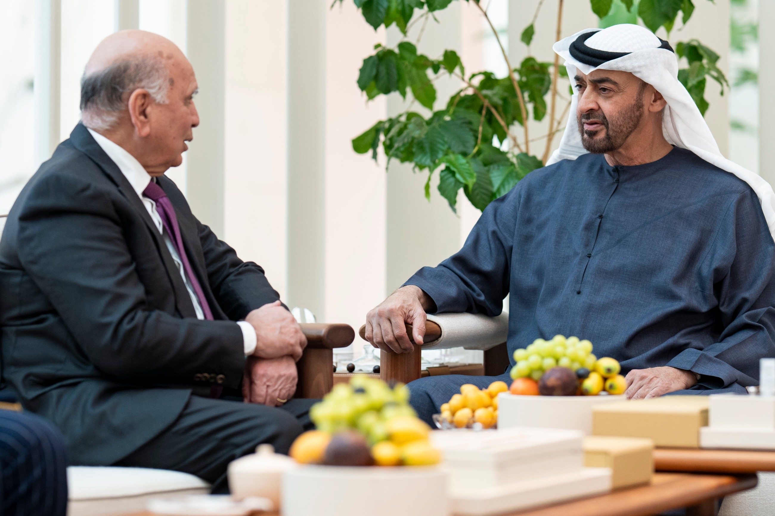 UAE, Iraq stress importance of stability across region
