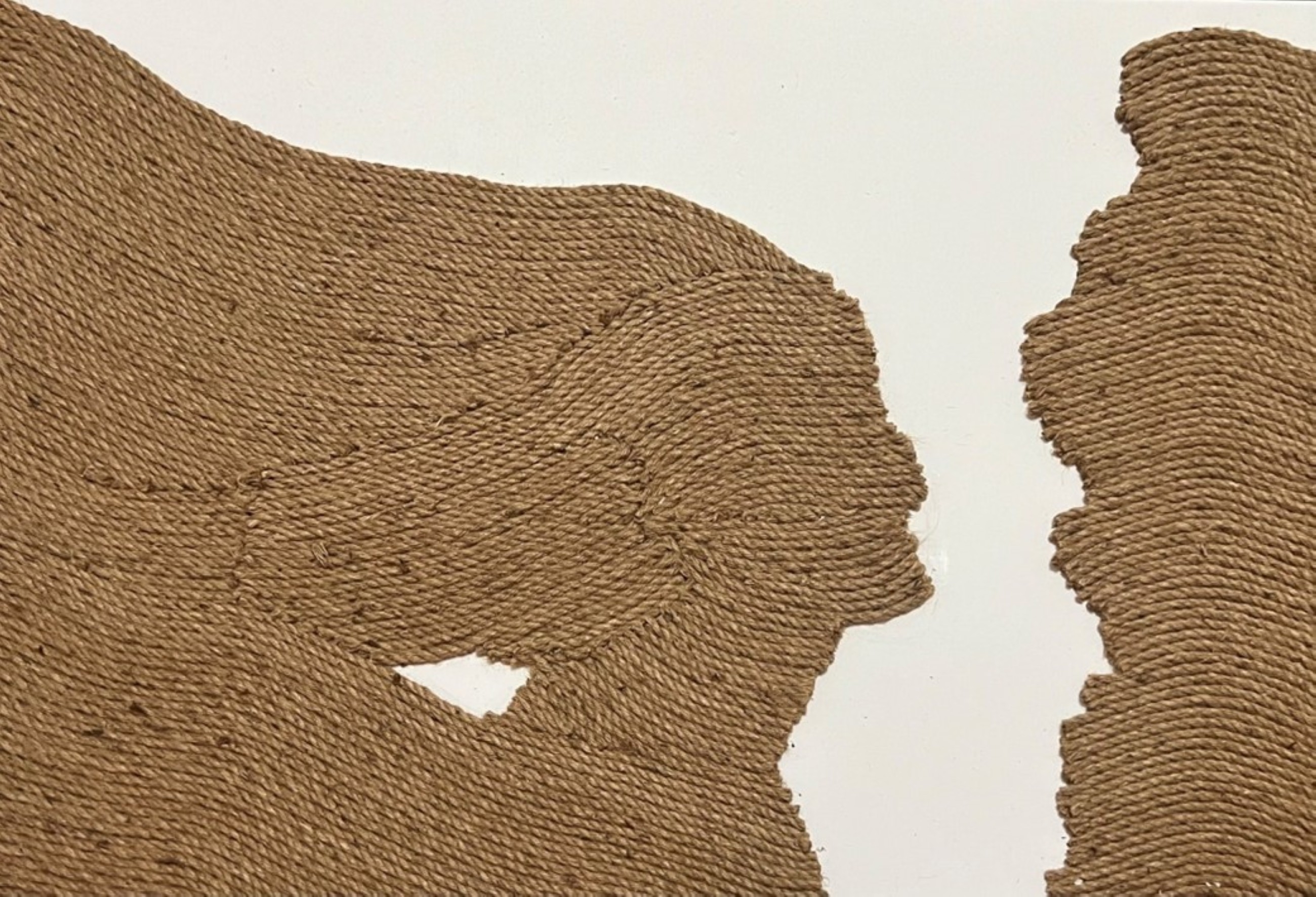 Raisa Mariam Rajan ropes in art to reflect her concern for Nature