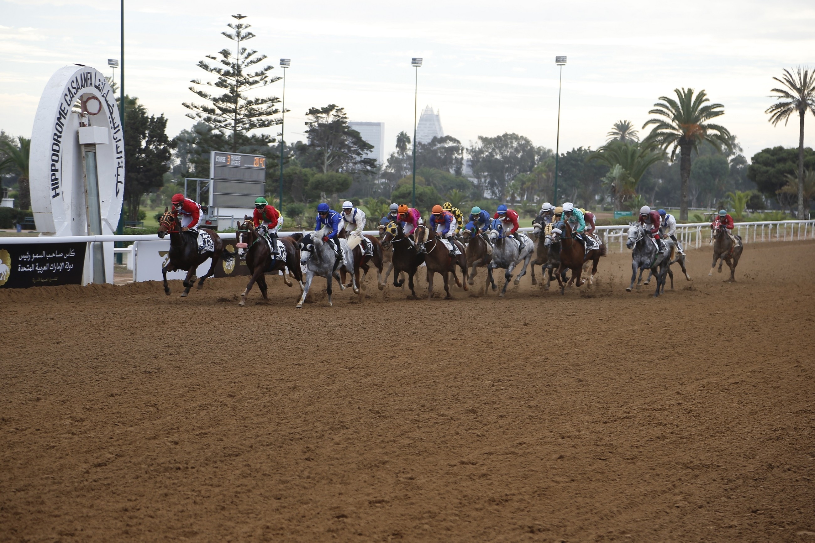 Morocco to host 2nd leg of UAE President's Cup Series for Purebred Arabian Horses