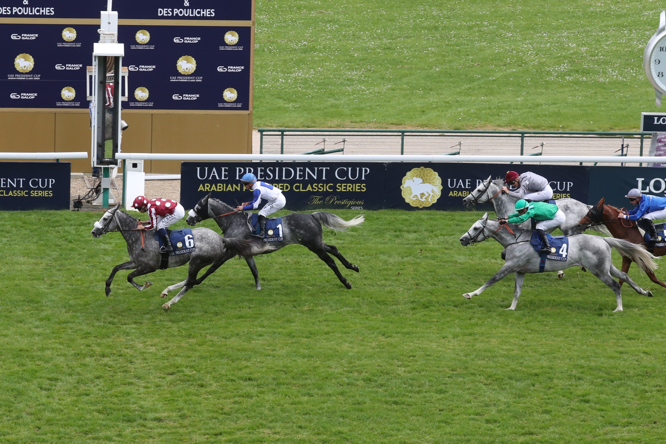 Global spotlight on Purebred Arabians as UAE President's Cup returns to Longchamp