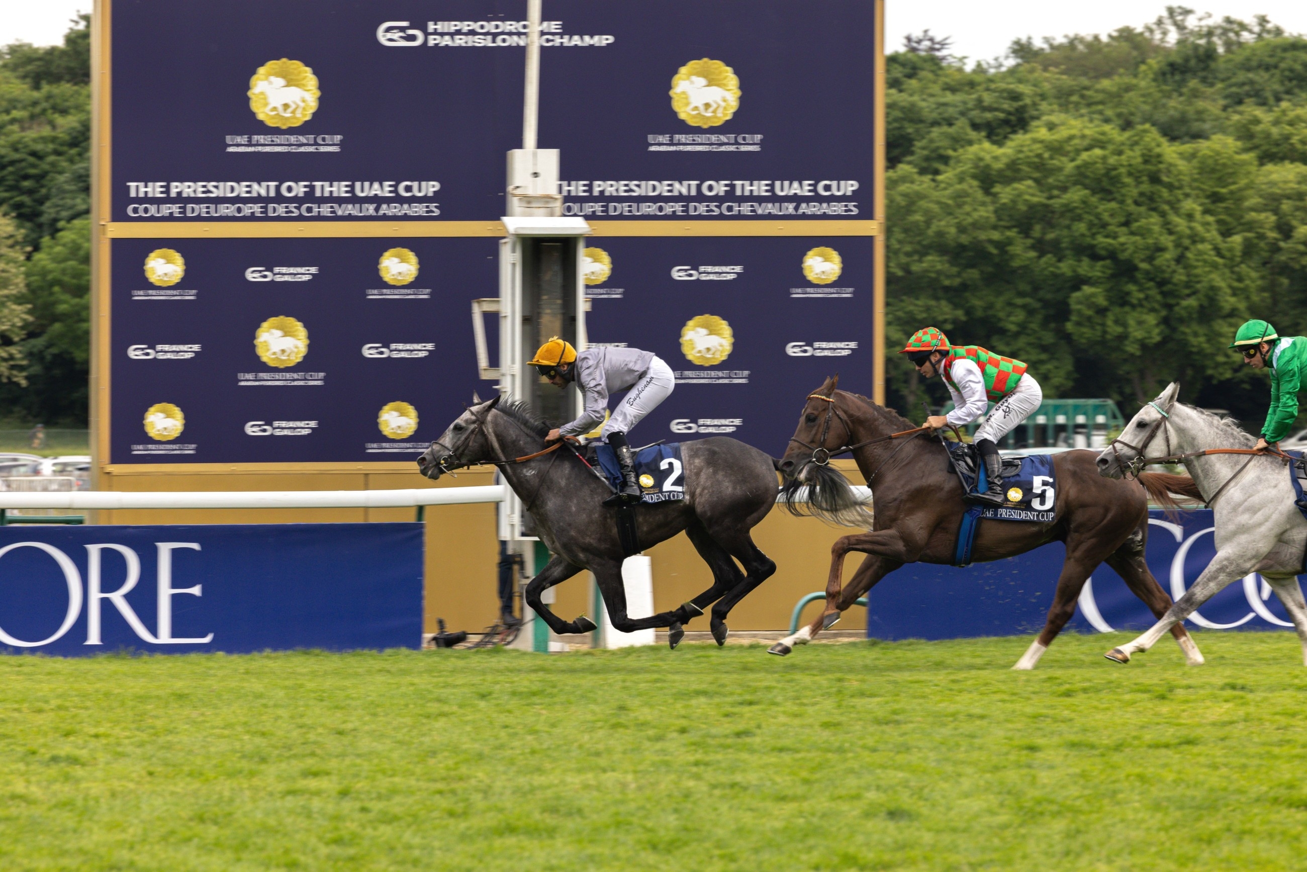 Luwsail lands glory as UAE President's Cup makes historic European debut