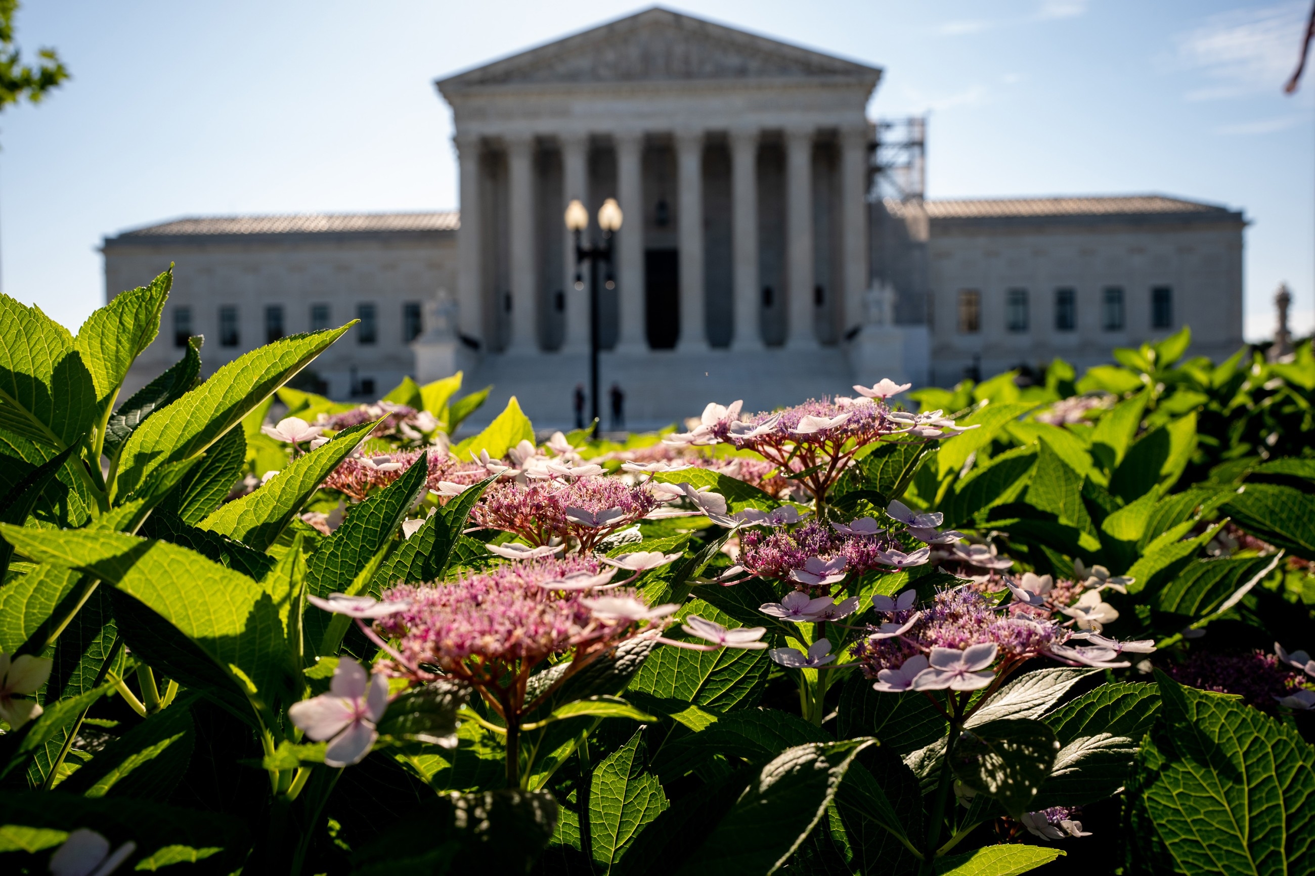 SC understands the assignment on birthright citizenship
