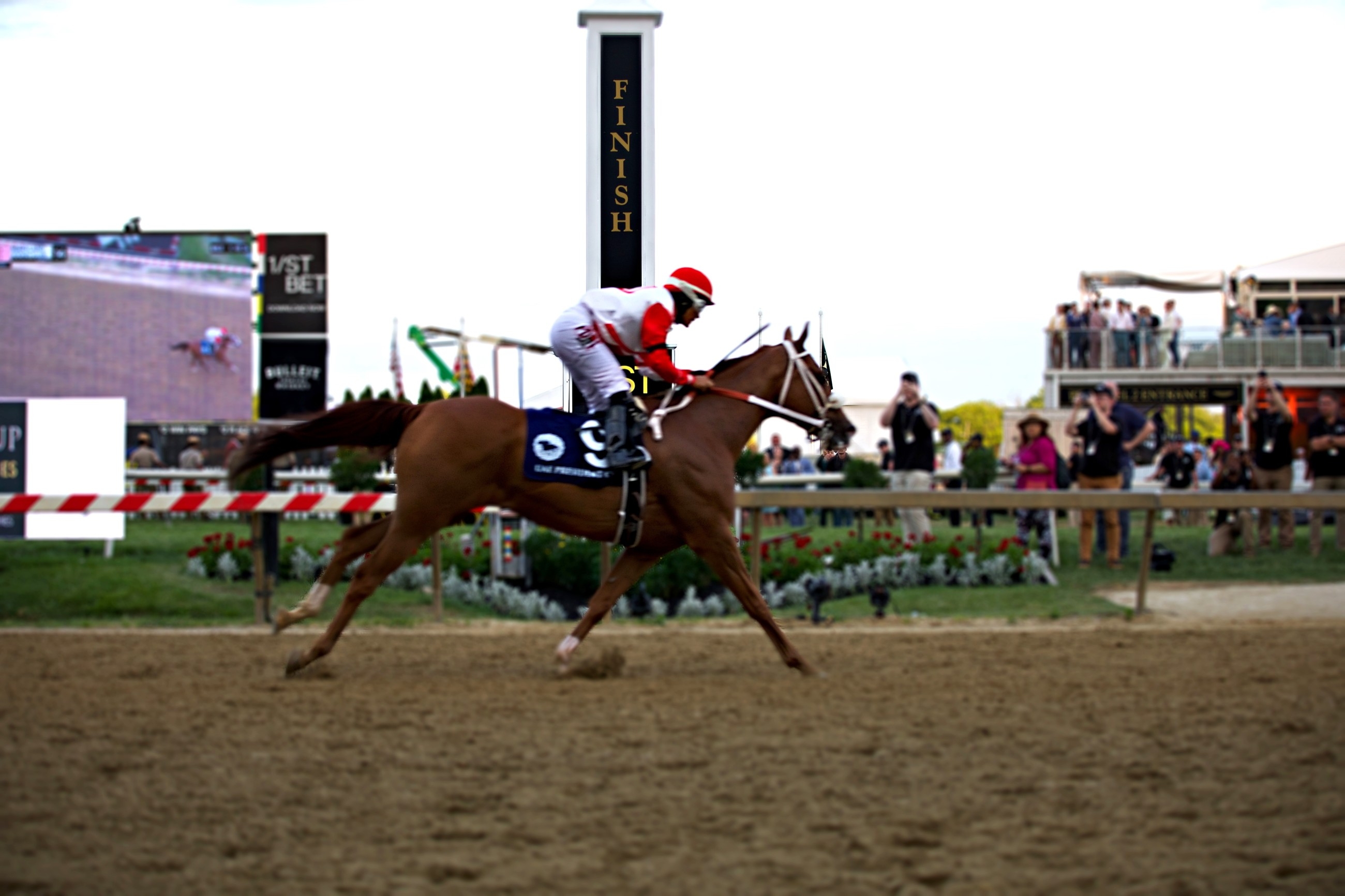 Diamond Gem AA sparkles in UAE President's Cup at Pimlico