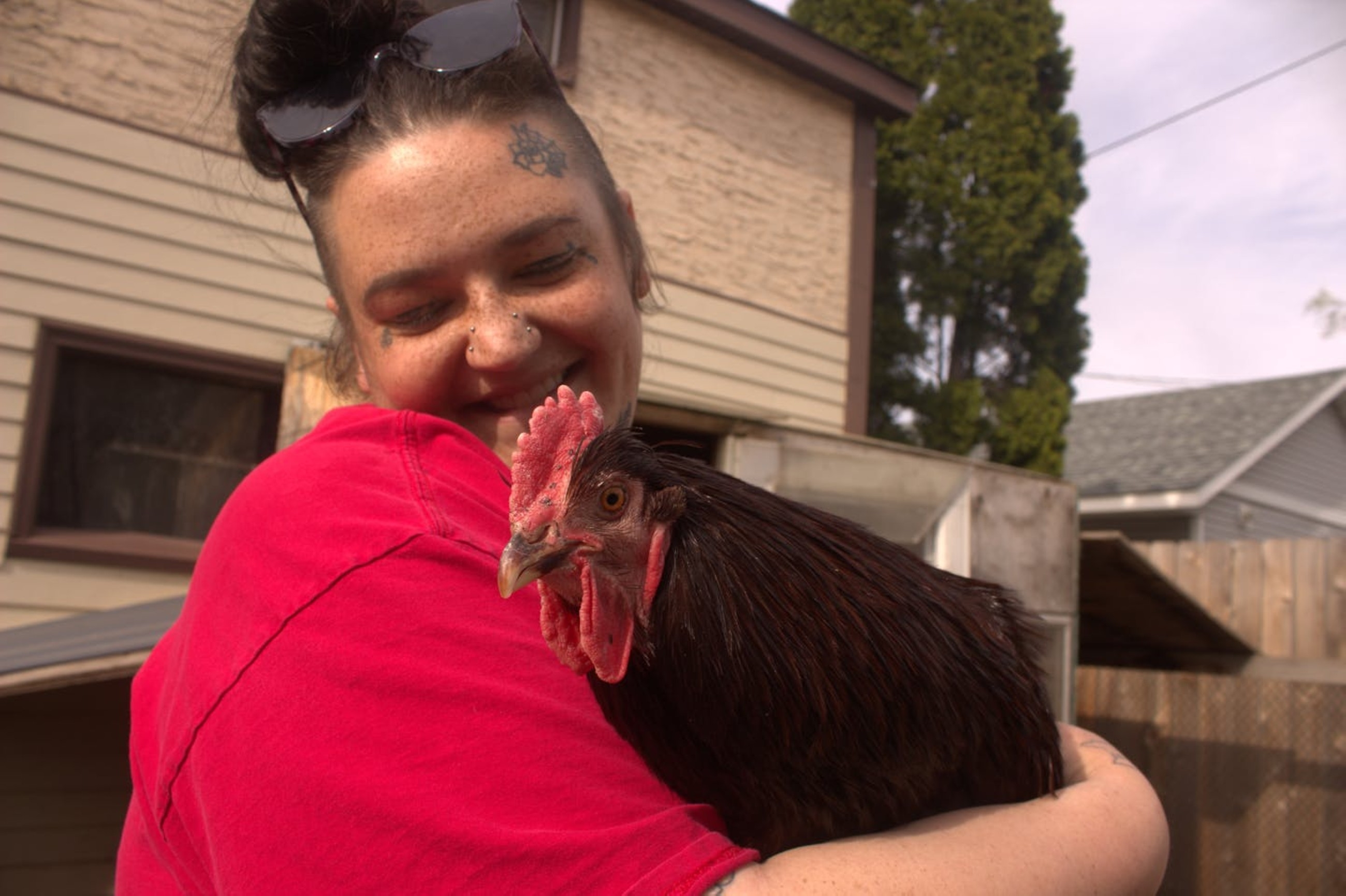 ‘Chicken lady' faces legal trouble as birds come flocking in