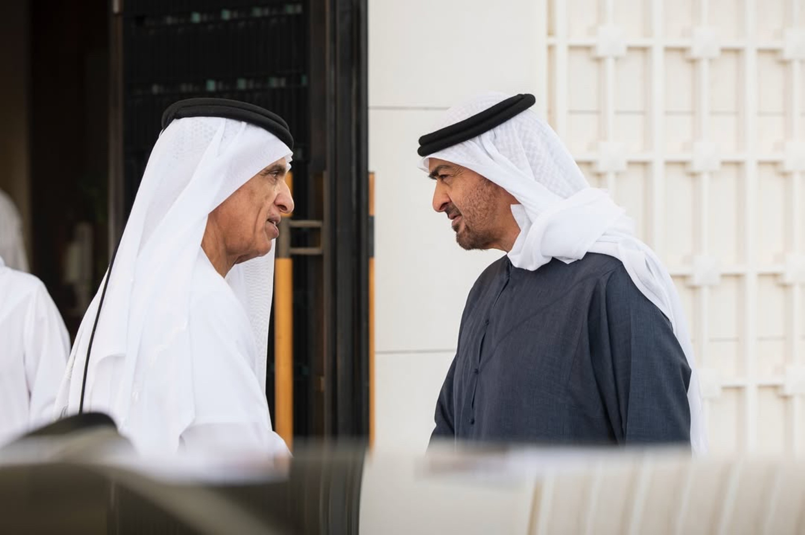 President and RAK Ruler discuss citizens' welfare