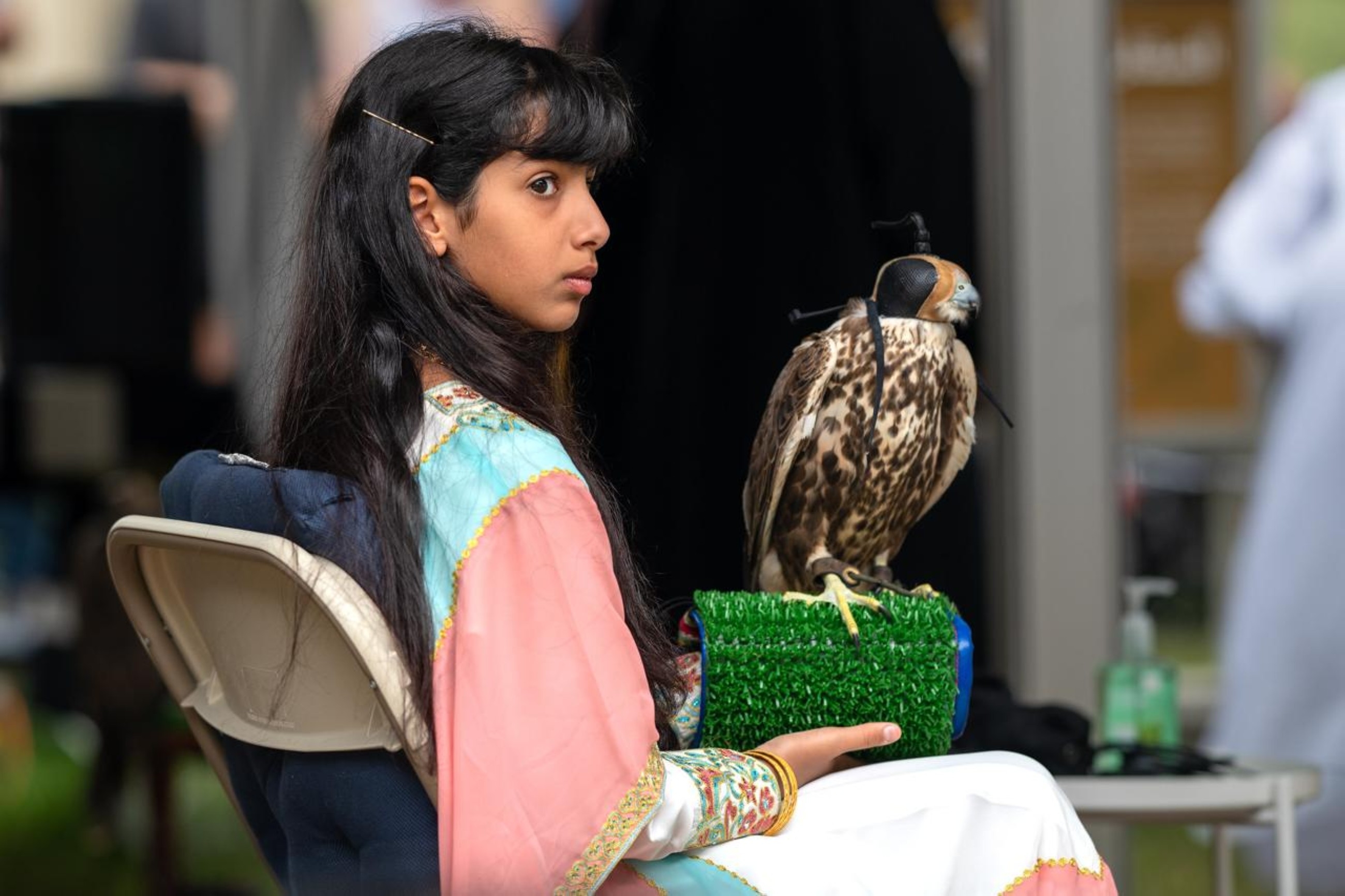 My grandfather and mother instilled in me love of falcons since I was very young: Osha Al Mansoori