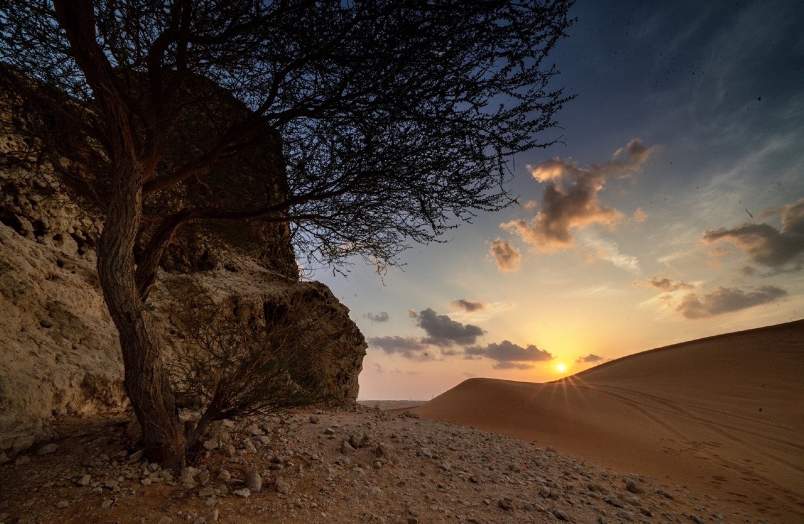 Mleiha National Park records over 100 species of flora, fauna