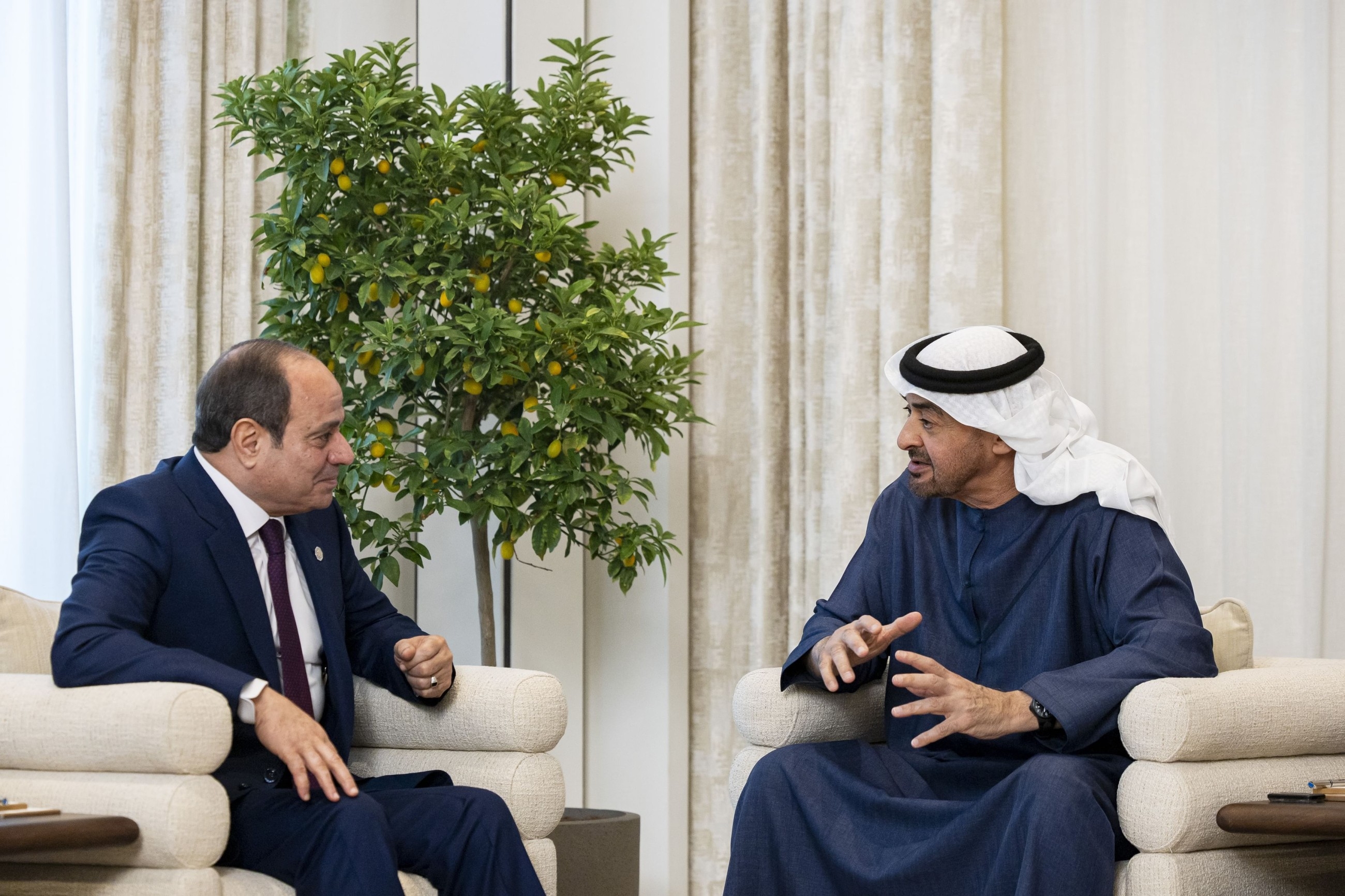 UAE, Egyptian Presidents discuss fraternal ties, regional developments
