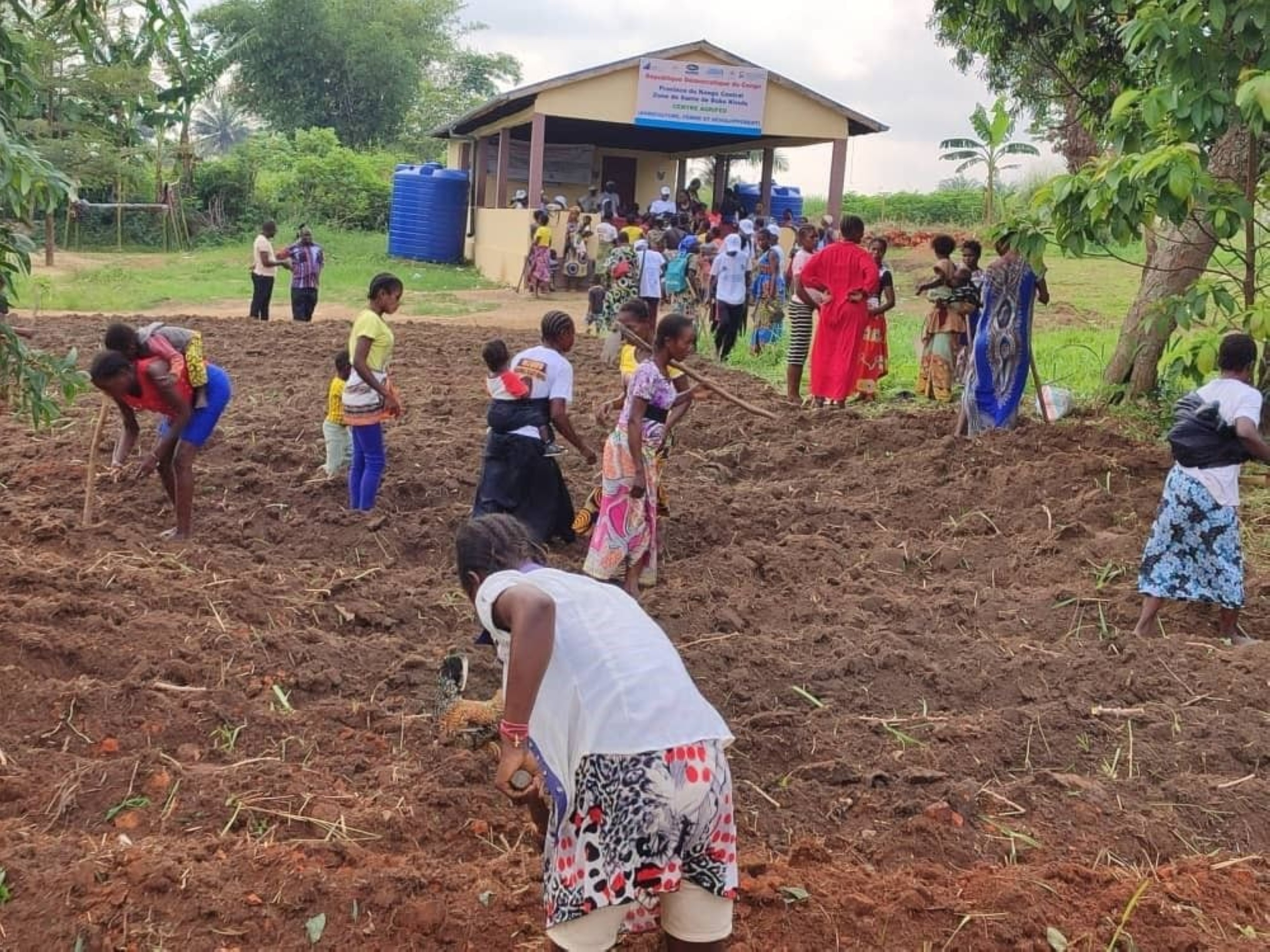Dubai donates Dhs5.5 million to fight malnutrition in three African countries