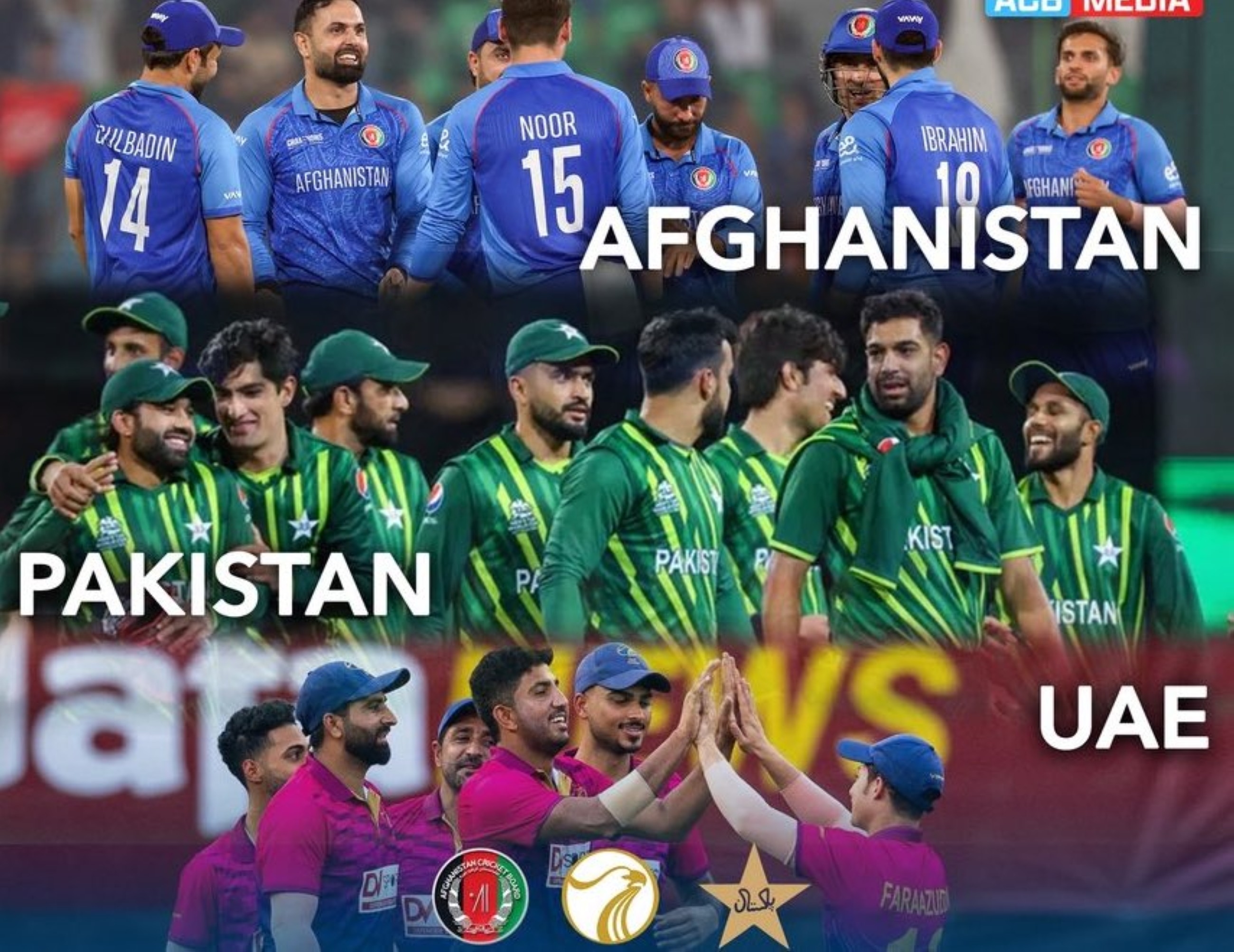UAE, Pakistan and Afghanistan to play T20 tri-series in Sharjah