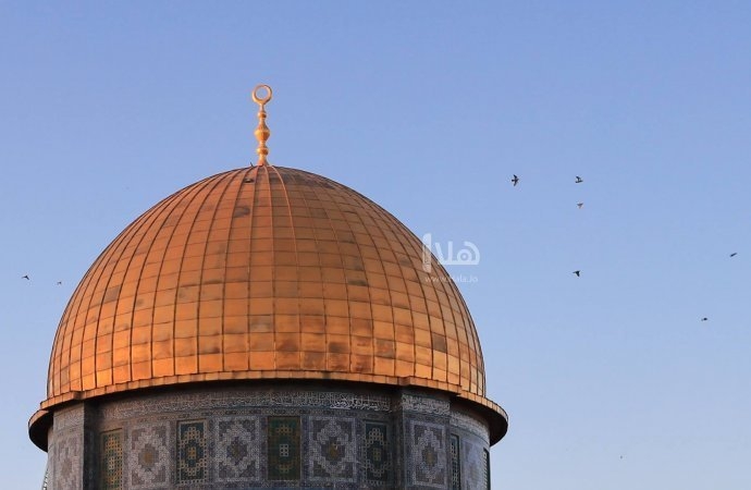 عضو الكنيست السابق 'يهودا غليك' يقدم شروحات حول الهيكل المزعوم في باحات الأقصى اليوم