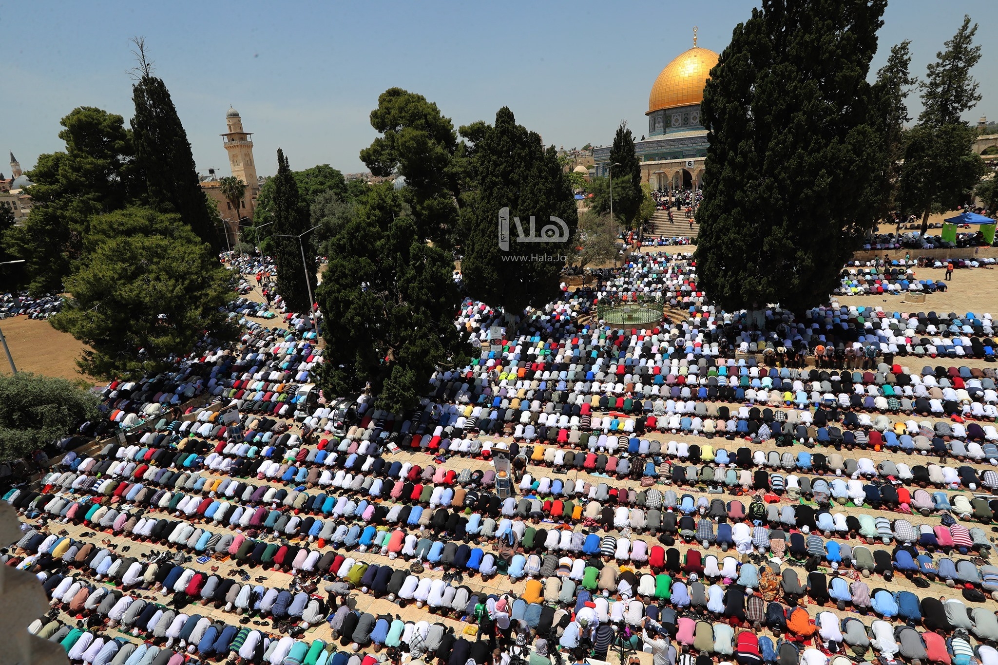 45 ألفا يؤدون صلاة الجمعة في المسجد الأقصى