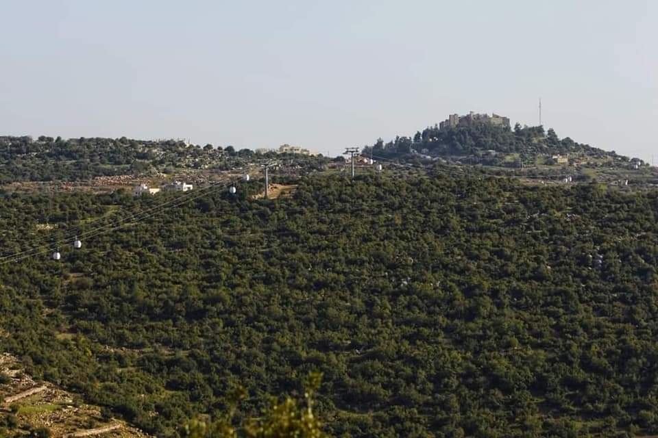 مدير زراعة عجلون: الغابات مسؤولية وطنية للحفاظ على التوازن البيئي