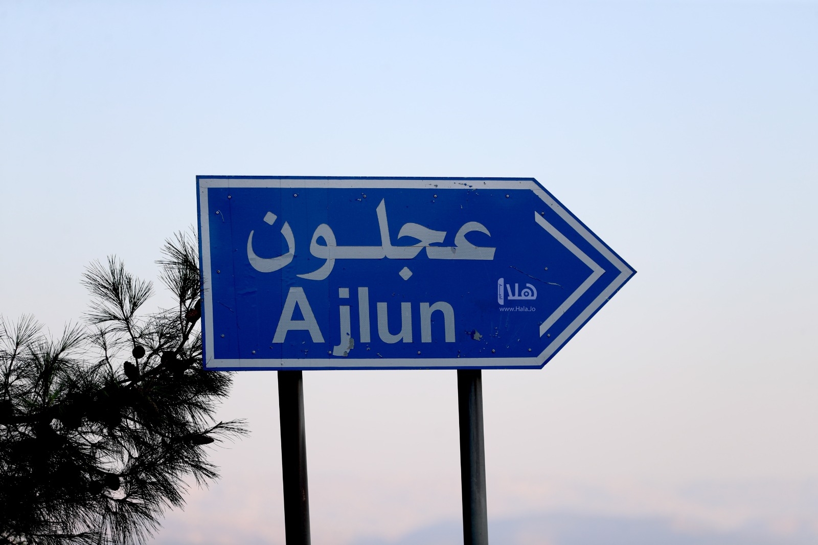 'الآثار النيابية' تطلع على الواقع السياحي في عجلون