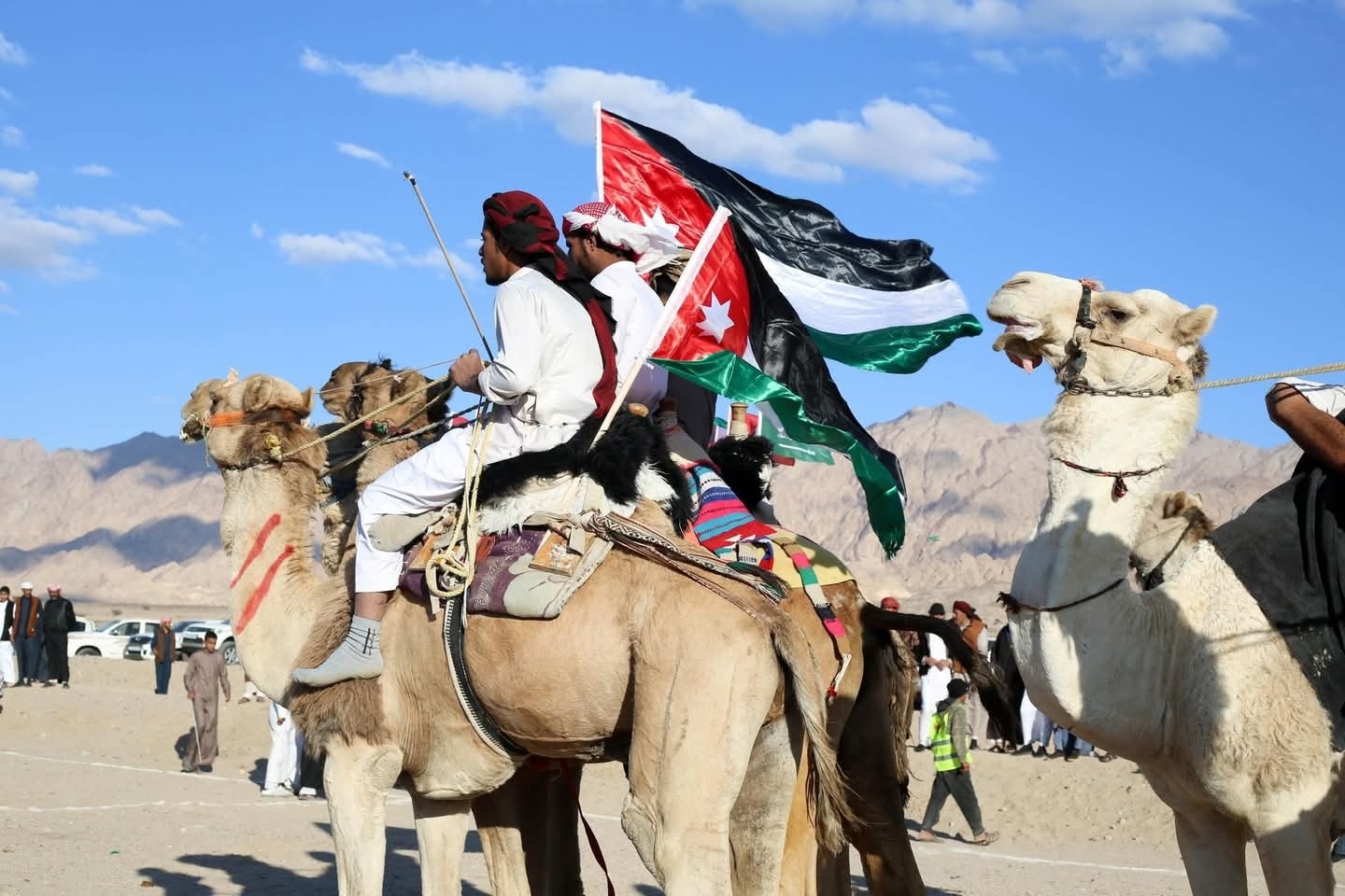 انطلاق فعاليات مهرجان راعي الهدلا للهجن والتراث في وادي عربة