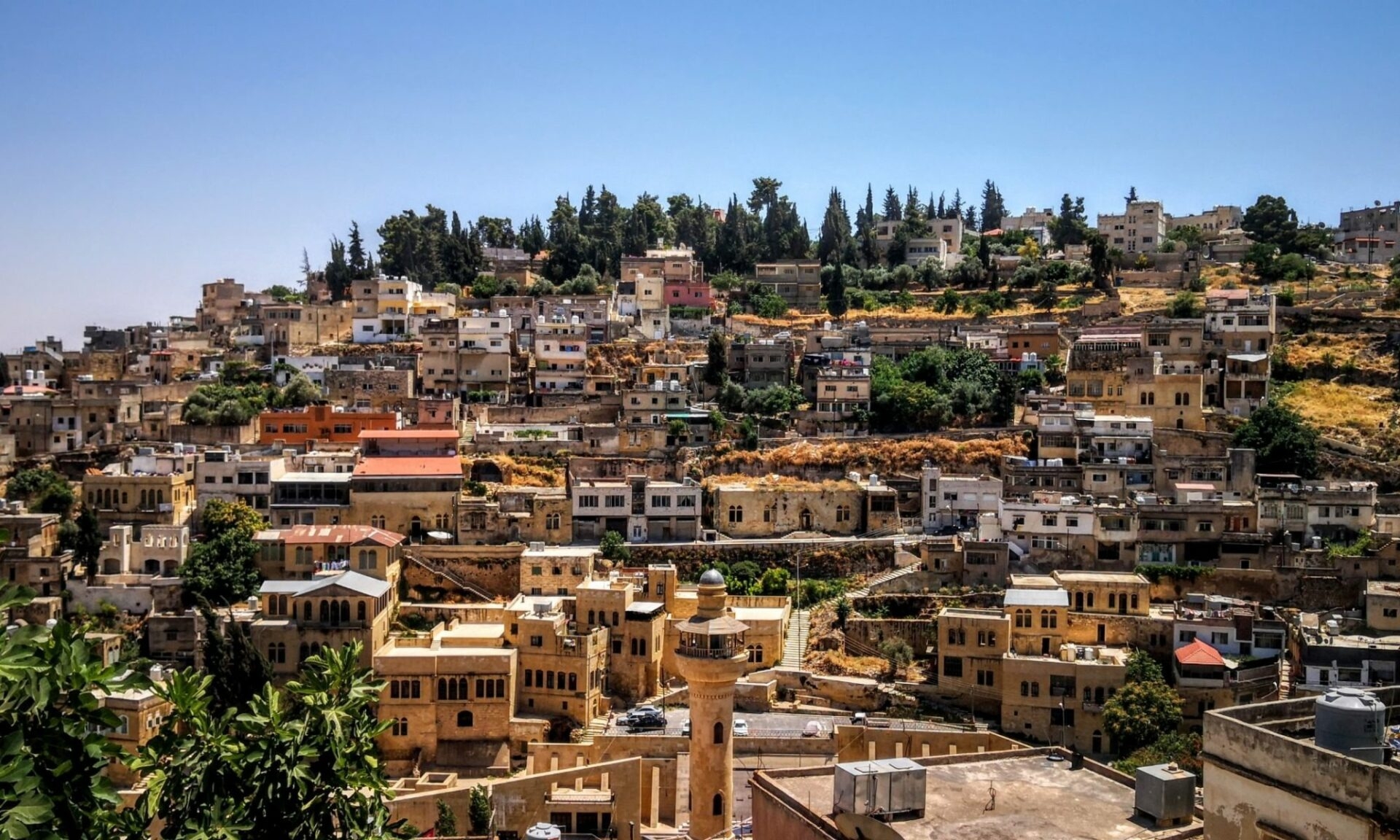 230 ألف دينار لدعم مشاريع تنموية في السلط