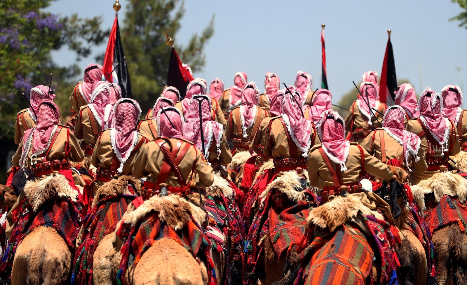 عمّان تحتفل بعيد الاستقلال في أجواء مفعمة بالفخر والاعتزاز
