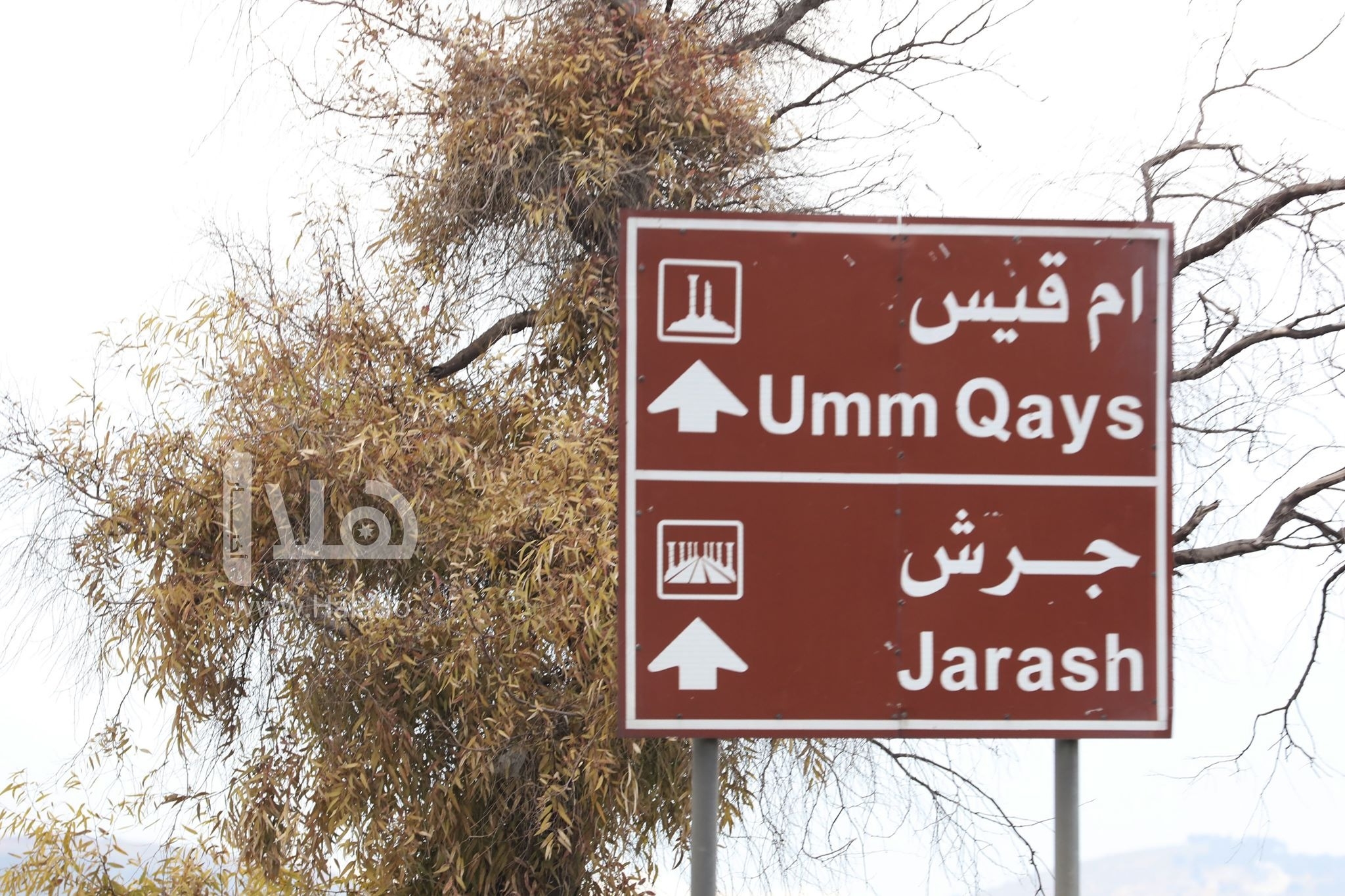 تحويل مجمع جرش الرياضي إلى مدينة رياضية بحلول 2027