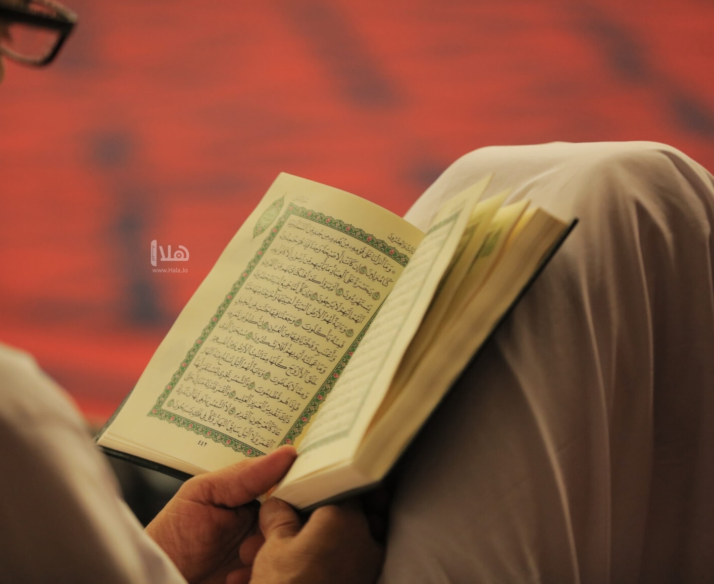 استمرار فعاليات مراكز تحفيظ القرآن الصيفية في المحافظات