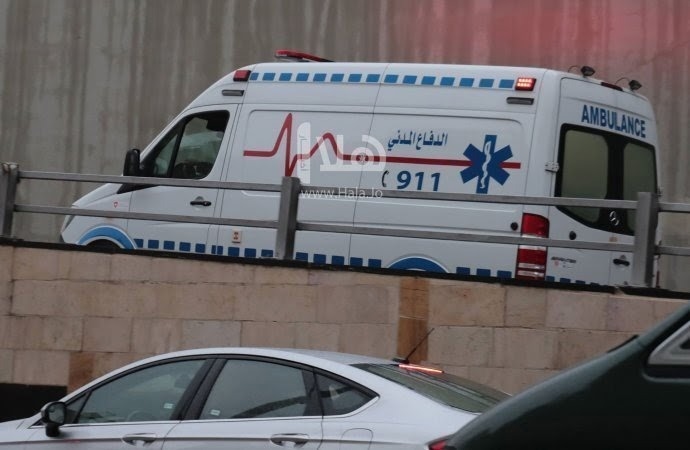 4398 حادث دهس في عام 2024 نتج عنها 217 وفاة