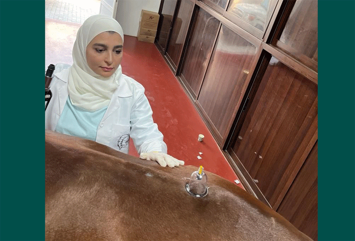 روضة الحموي: الطب البديل وسيلة فعالة في علاج أمراض الخيول